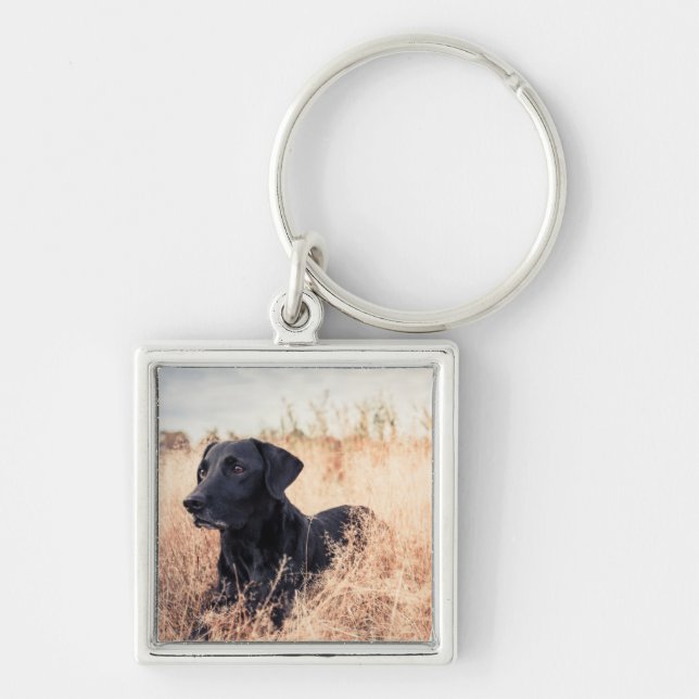 Chaveiro Labrador Negro De Grama Seca (Frente)