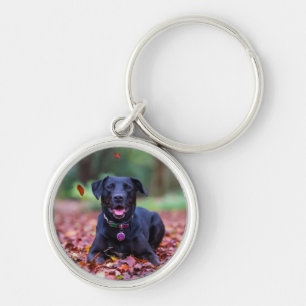 Chaveiro Labrador Negro Em Folhas De outono
