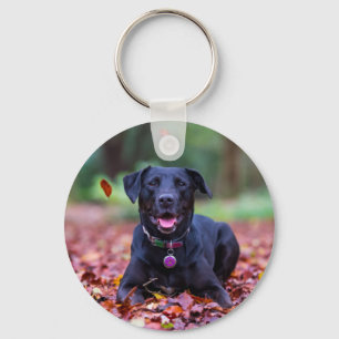 Chaveiro Labrador Negro Em Folhas De outono