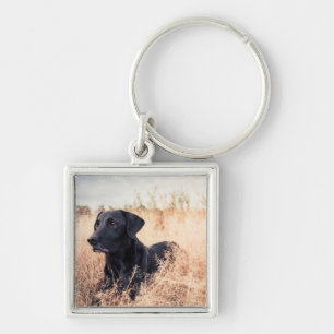 Chaveiro Labrador Preto De Grama Seca