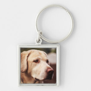 Chaveiro Labrador Retriever