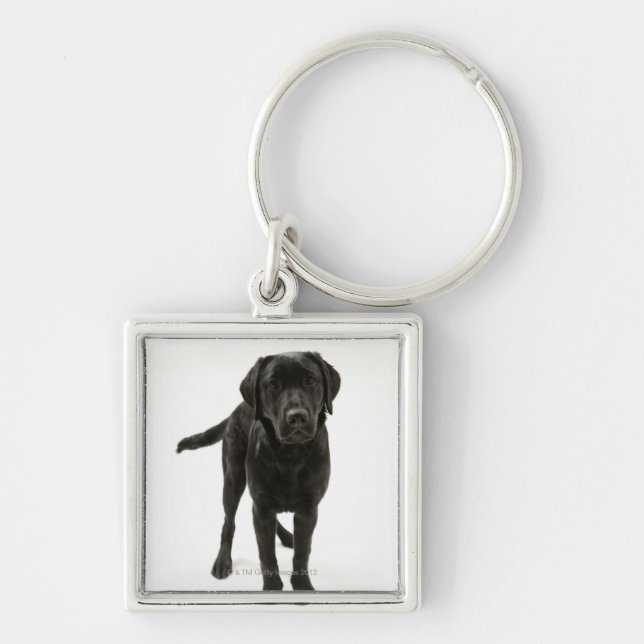 Chaveiro Labrador retriever preto (Frente)