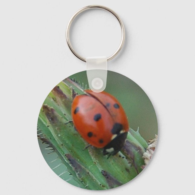 Chaveiro Lady Bug (Frente)