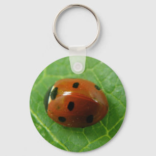 Chaveiro Ladybug