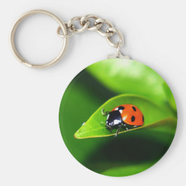 Chaveiro Ladybug