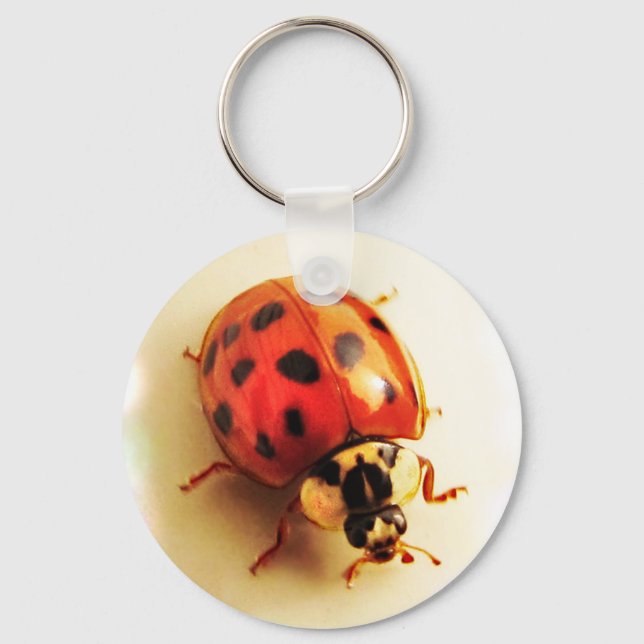 Chaveiro Ladybug (Frente)