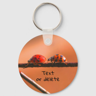 Chaveiro Ladybug Buddies Nature Personalizado