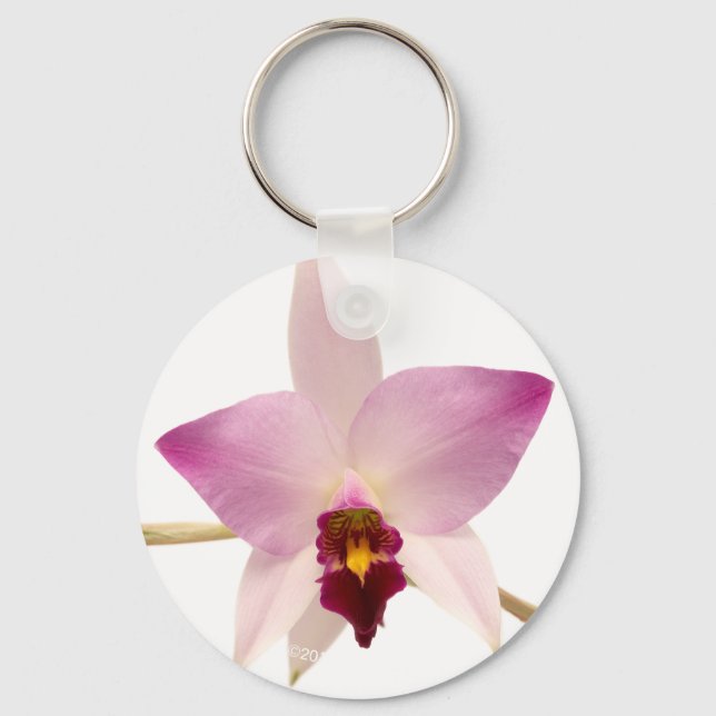 Chaveiro Laelia Ancep (Frente)