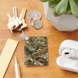 Chaveiro Lagartos de Ernst Haeckel Vintage Lacertilia Anima