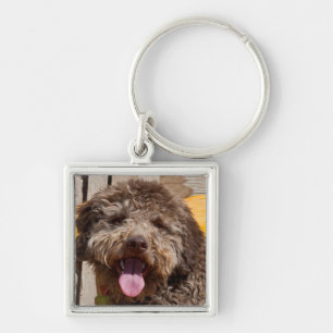 Chaveiro Lagotto Romagnolo Deitado Em Uma Bancada De Madeir