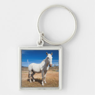 Chaveiro Laguna Azul, paisagem com cavalos