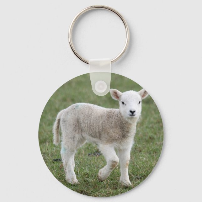 CHAVEIRO LAMB (Frente)