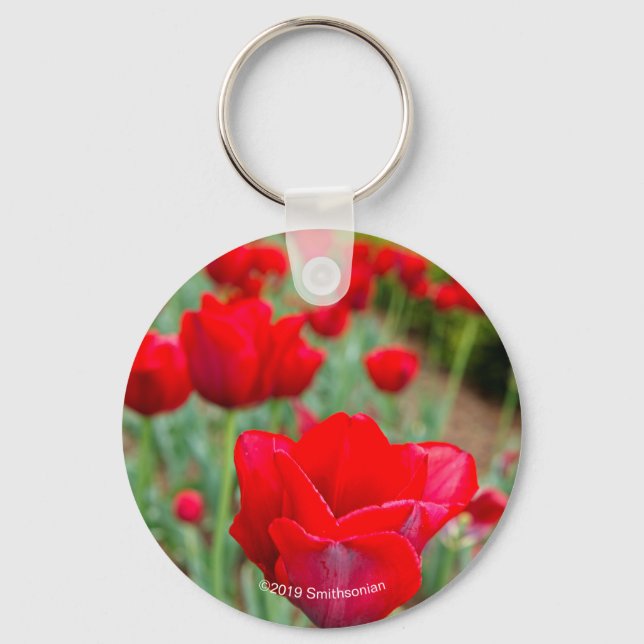 Chaveiro Lâmpadas Haupt, Fechamento (Frente)