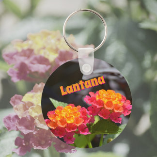 Chaveiro Lantana Colorida Flores Botânicas Coloridas