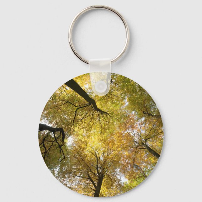 Chaveiro Leafy Canopy (Frente)
