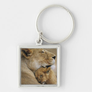 Chaveiro Leão da mamã e bebê Cub