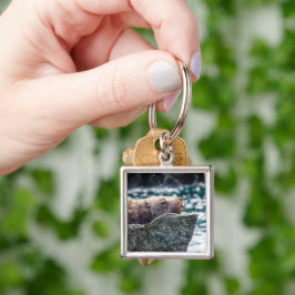 Chaveiro Leão-Do-Mar Na Baía De Ressurreição, Alasca
