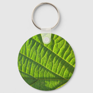 Chaveiro Legal literatura verde