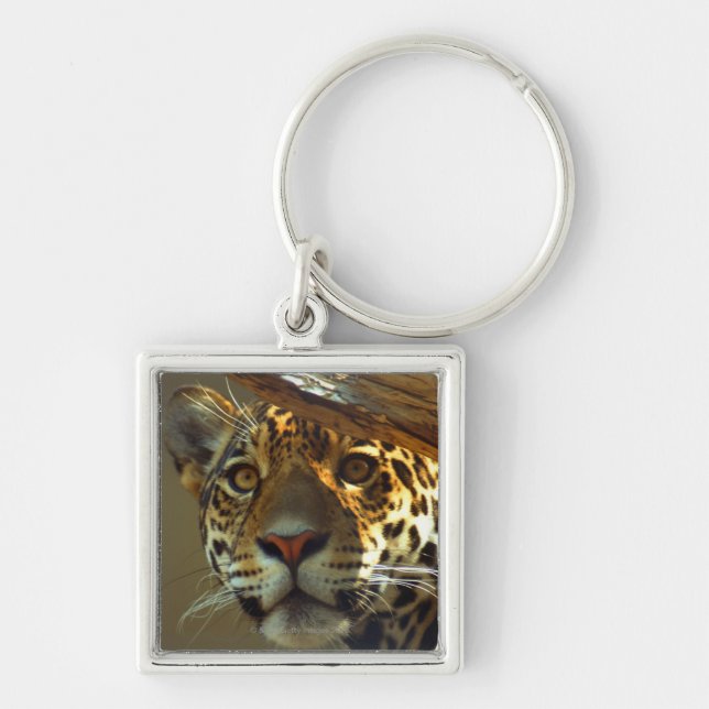 Chaveiro Leopardo (Frente)