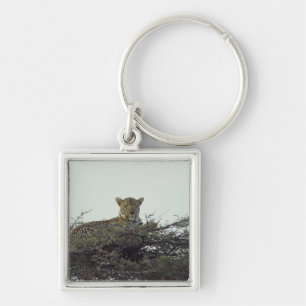 Chaveiro Leopardo africano