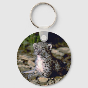 Chaveiro Leopardo de neve, filhote novo