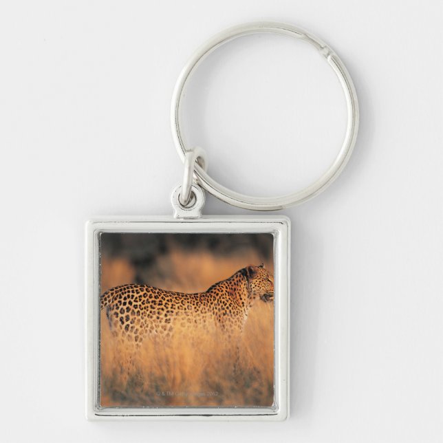 Chaveiro Leopardo (pardus do Panthera) (Frente)