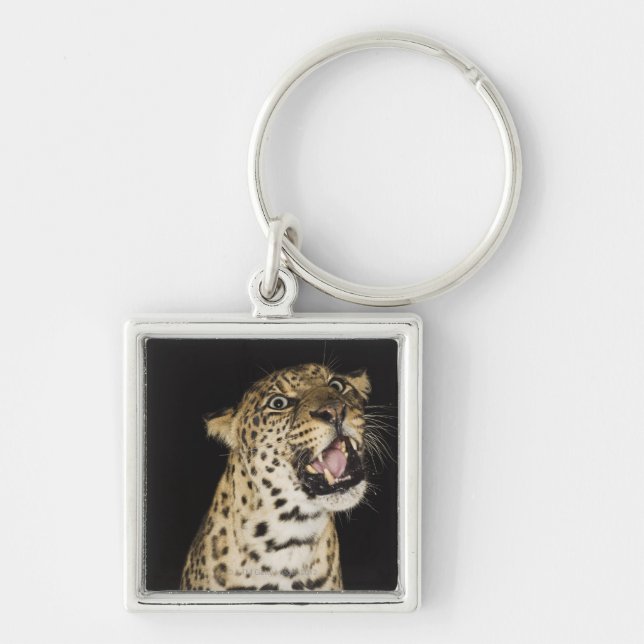 Chaveiro Leopardo que ruje (Frente)