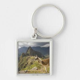 Chaveiro Lhamas e uma vista geral de Machu Picchu,