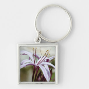 Chaveiro Lily