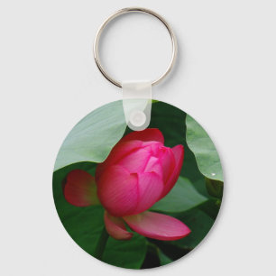 Chaveiro Lily de água rosa entre as almofadas de lírio