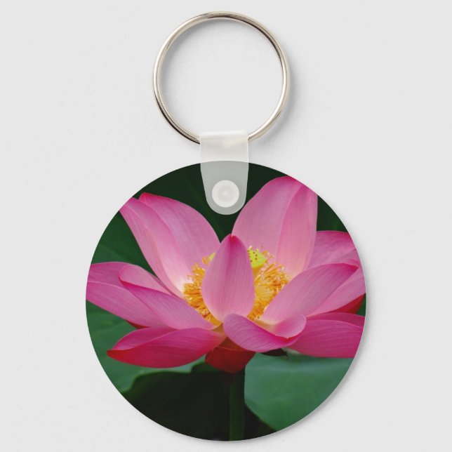 Chaveiro Lily de água rosa no sangue do Cheio (Frente)