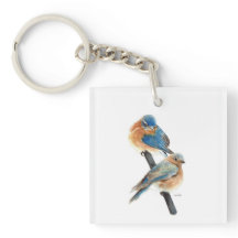 Linda Arte de Aquarela do Casal Bluebird