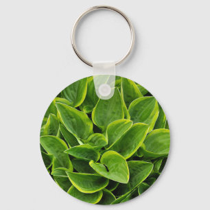 Chaveiro Linda planta verde-hosta