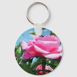 Chaveiro Linda rosa cor-de-rosa no céu azul. Fotografia flo