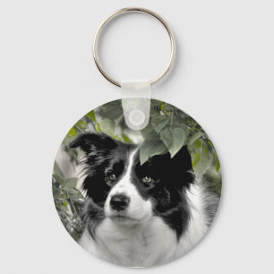 Chaveiro Lindo Collie Dog