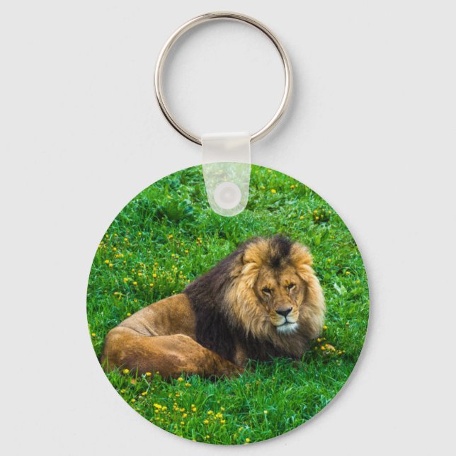Chaveiro Lion Relaxing em Foto de Grass Verde (Frente)