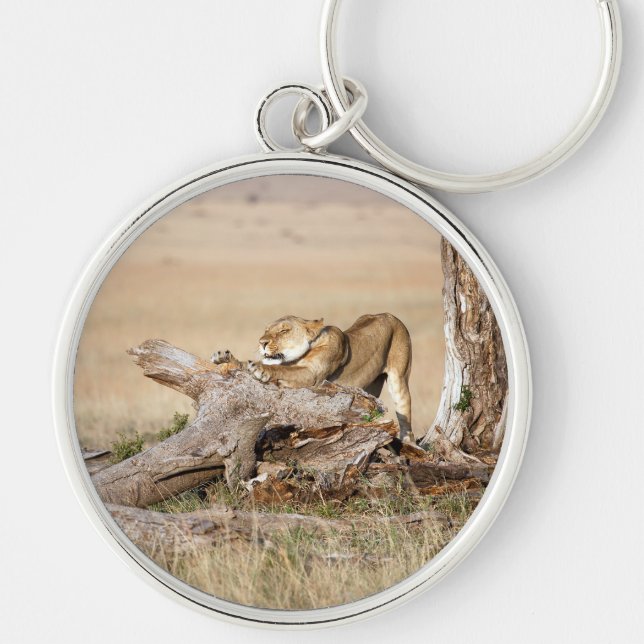 Chaveiro Lioness alongando (Frente)