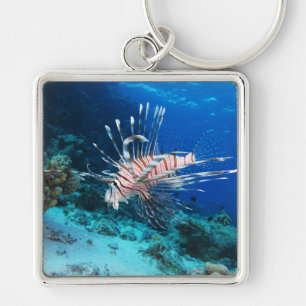 Chaveiro Lionfish ou Pterois Miles, Peixes de Recife do Oce