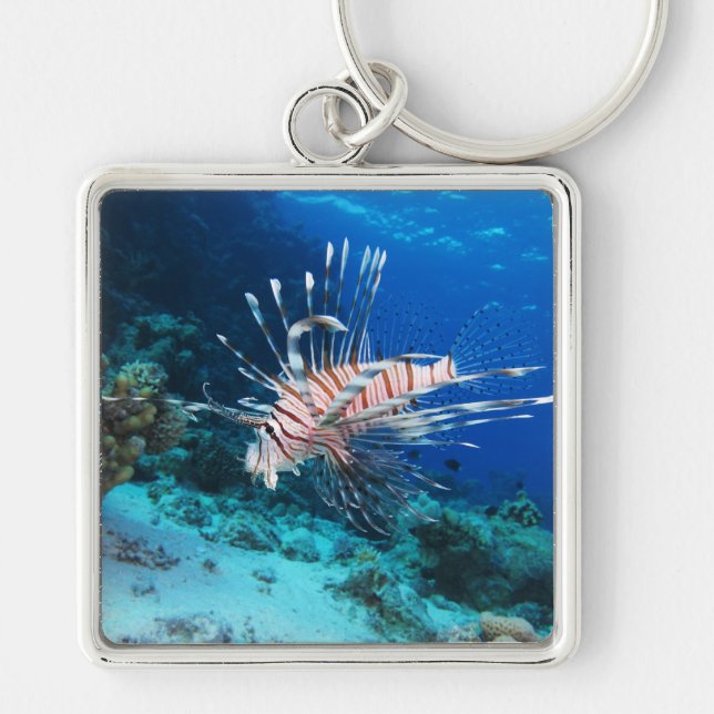 Chaveiro Lionfish ou Pterois Miles, Peixes de Recife do Oce (Frente)