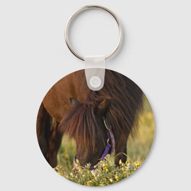 Chaveiro Little Sharni Shetland Pony (Frente)