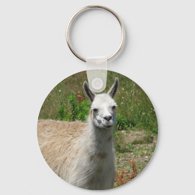 Chaveiro Llama Fotografia (Frente)