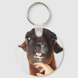 Chaveiro Llama Love