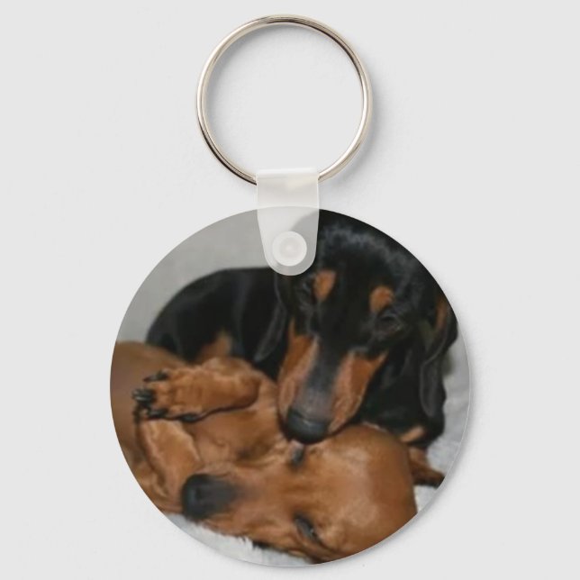 Chaveiro Llavero Botón Básico teckels (Frente)