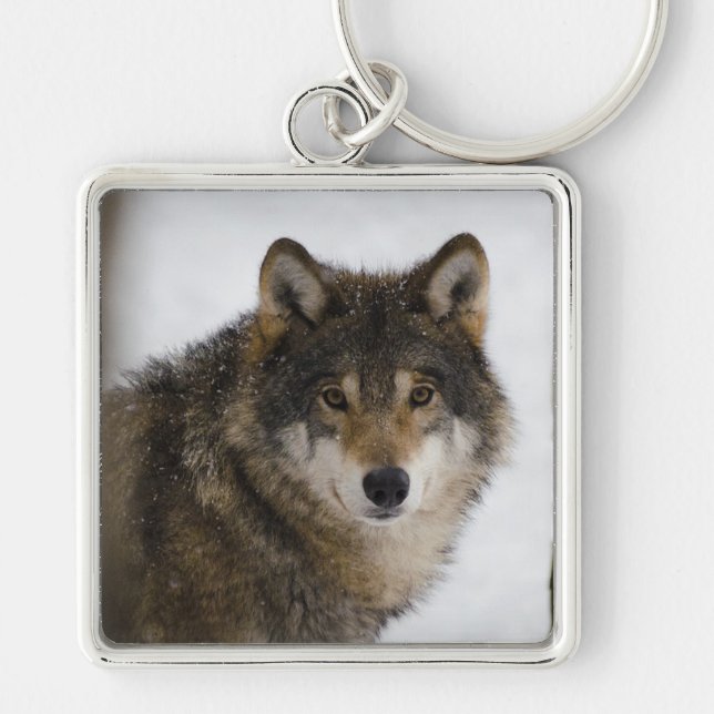 Chaveiro Lobo (Frente)