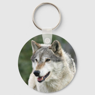 Chaveiro Lobo