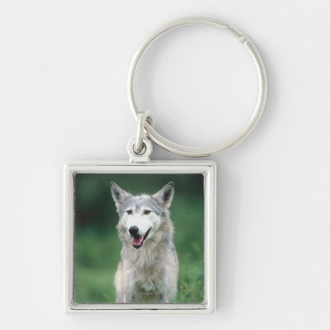 Chaveiro Lobo cinzento (Frente)