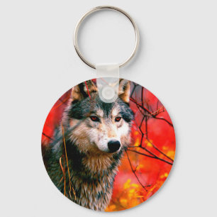 Chaveiro Lobo espiando folhas em uma floresta