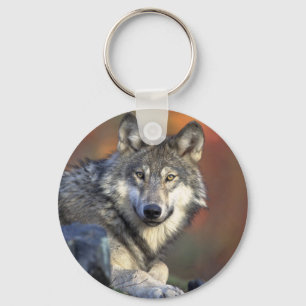 Chaveiro Lobos