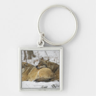 Chaveiro Lobos na madeira de Bawarian