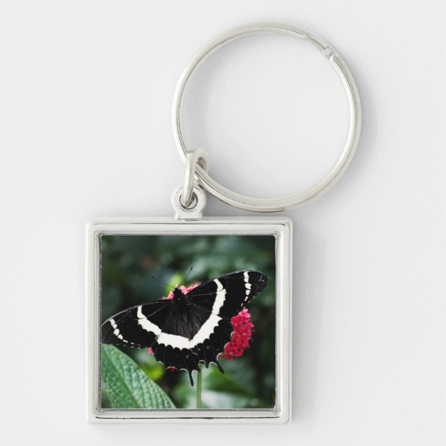 Chaveiro Lolipop Butterfly (Frente)